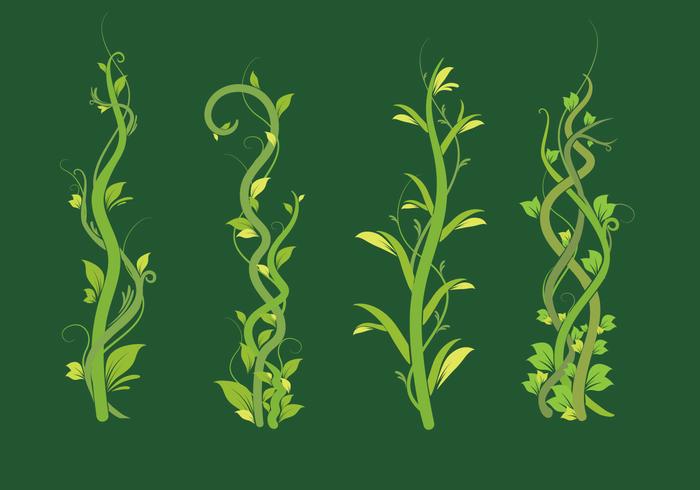 Liana green leaf vector pack