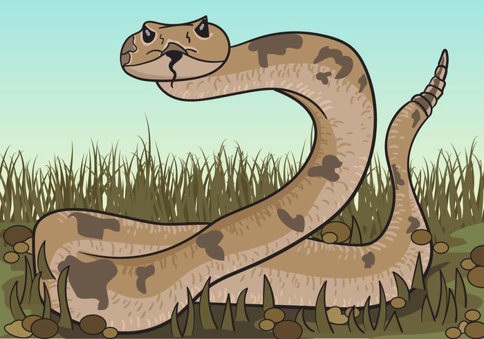 Brown Rattlesnake Looking For Prey Illustration vector