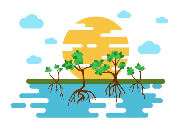 Free Mangrove Trees Illustration Vector Free Mangrove Trees Illustration Vector