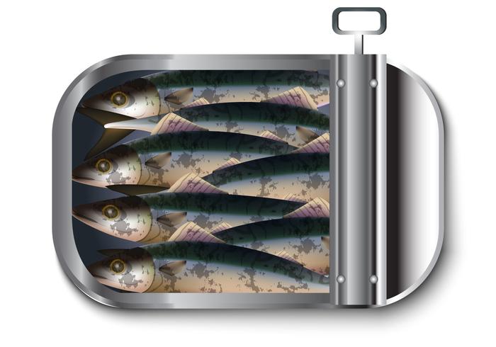 Mackerel Vector