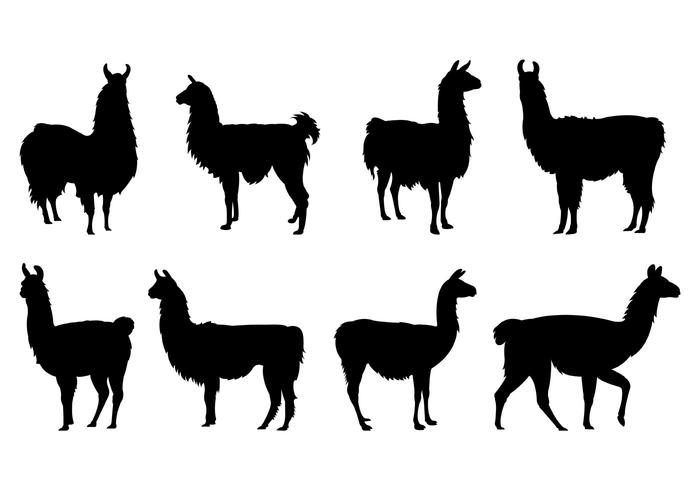 Conjunto De Siluetas Llama vector