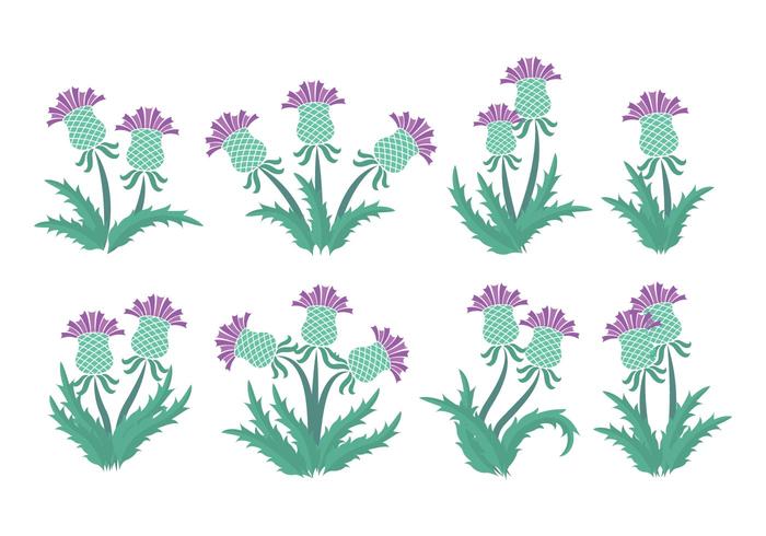 Thistle Icons vector