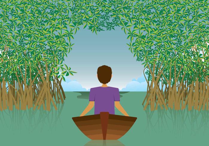 Free Mangrove Illustration Free Mangrove Illustration