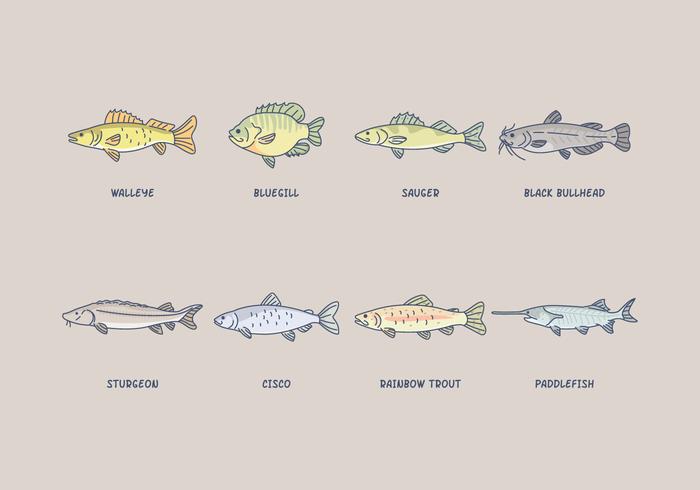 Free Freshwater Fish Vector