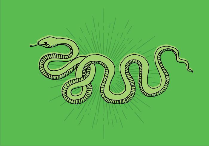 Snake Line Drawing vector