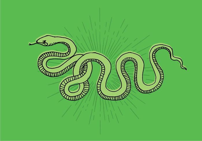 Snake Line Drawing vector