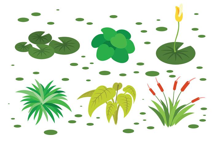 Free Swamp Icons Vector