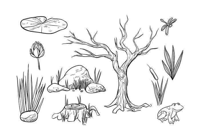 Free Swamp Vector Free Swamp Vector