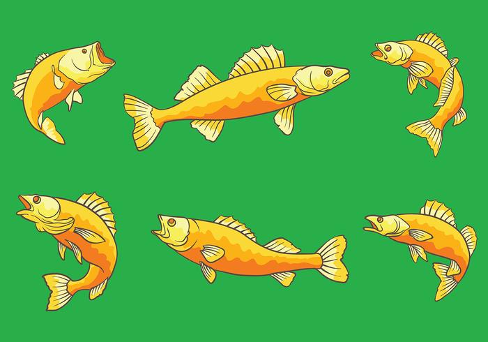 Free Walleye Icons Vector