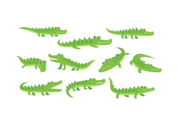 Free Gator Vector