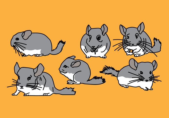 Chinchilla Vector Pack 3 Chinchilla Vector Pack 3