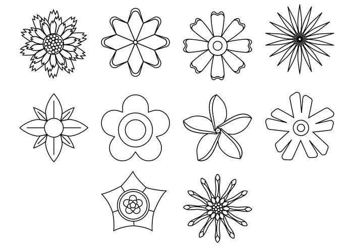 Free Flower Icon Vector Free Flower Icon Vector