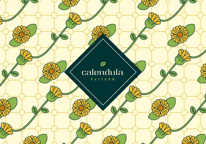 Calendula Background vector