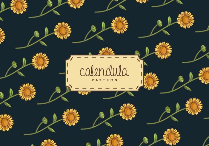 Calendula Background vector