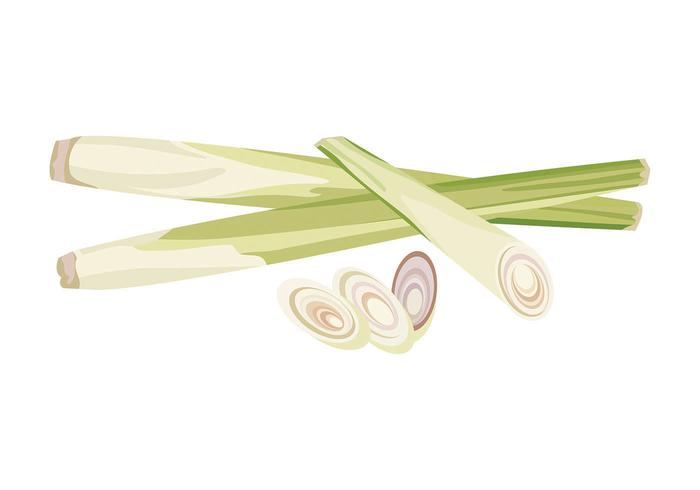 Lemongrass Vector