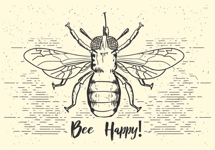 Vector Bee Illustration