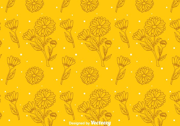 Calendula orange pattern vector