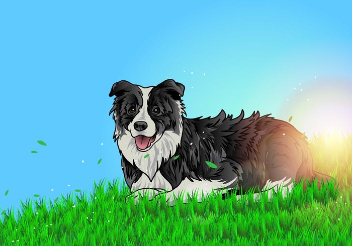 Border Collie Lay On The Ground vector