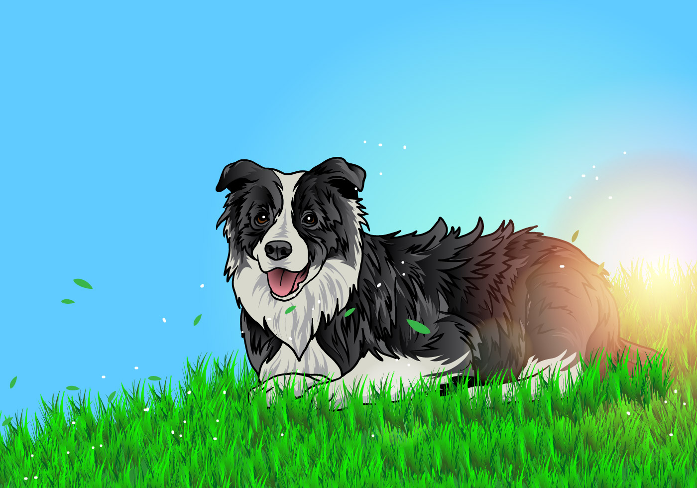 Download Border Collie Lay On The Ground - Download Free Vectors ...