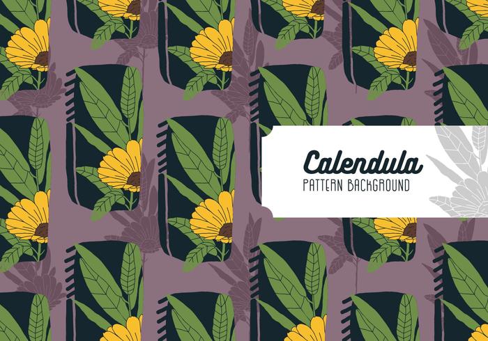 Calendula Background vector