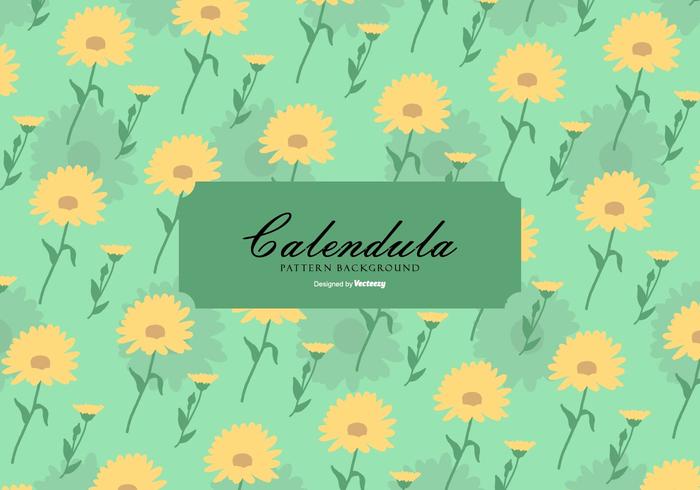 Calendula Background vector