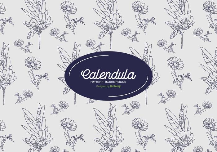 Calendula Background vector