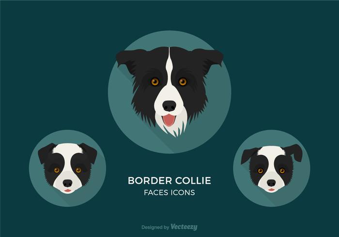 Free Border Collie Faces Vector Icons