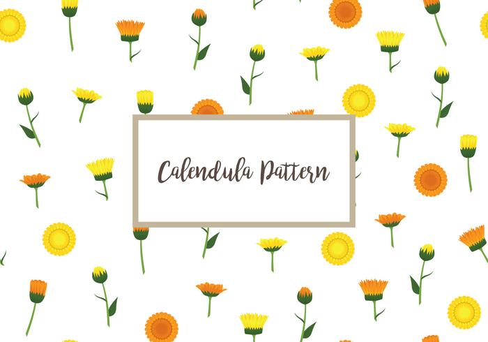 Calendula Pattern vector