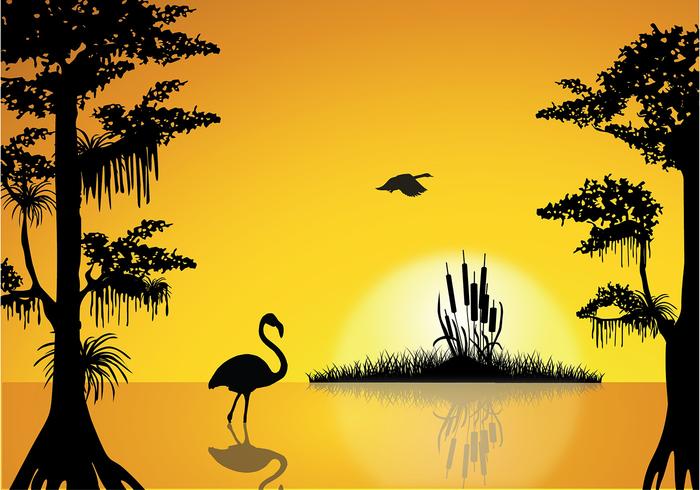 Swamp Sunset Free Vector