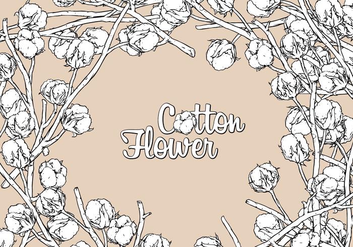 Dibujo de mano de flores de algodón vector libre