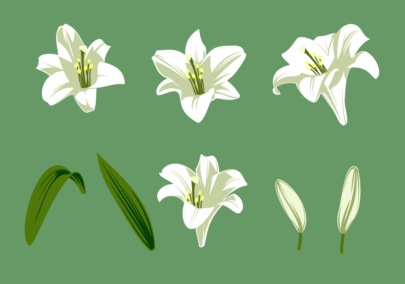 easter lilies free clipart - photo #43