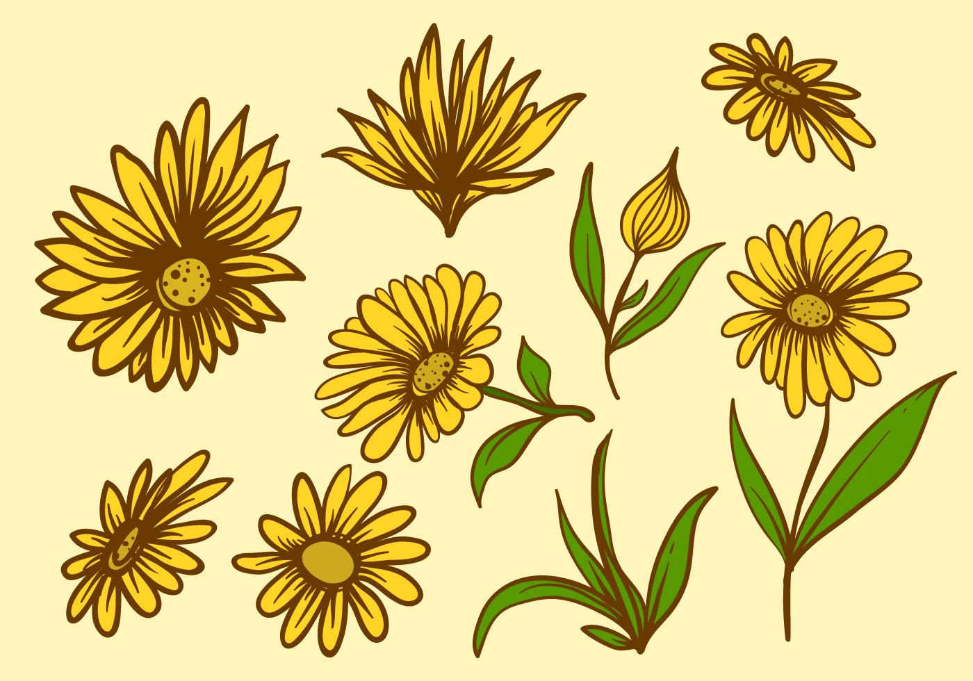 Download Free Calendula Flower - Download Free Vectors, Clipart ...