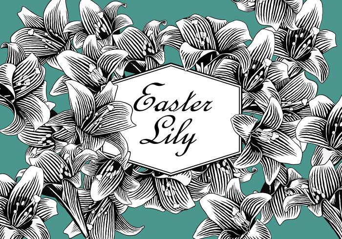 Easter Lily Free Vector