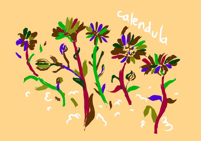Free Calendula Vector Illustration Free Calendula Vector Illustration
