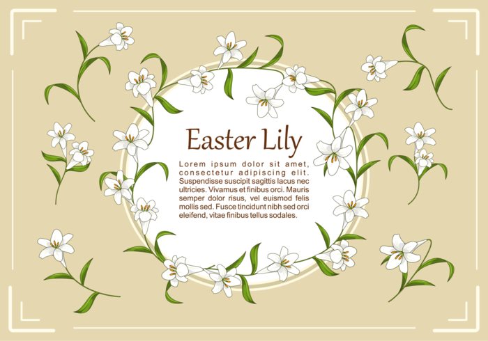 Easter Lily Plant Vector