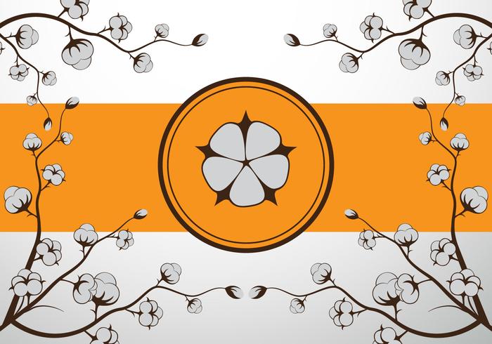 Cotton flower vector illustration Cotton flower vector illustration