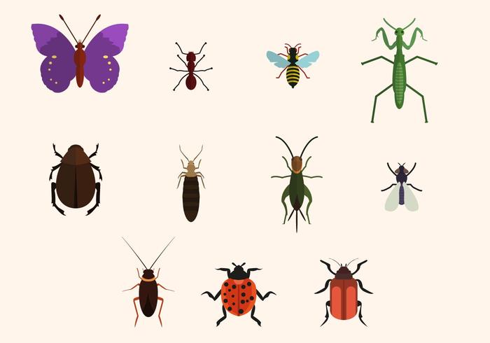 Free Insect Vector