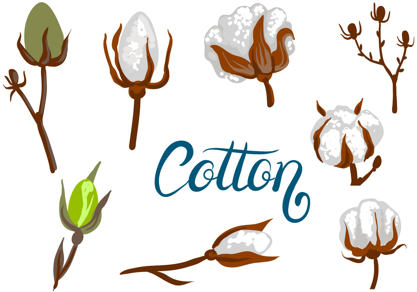 Free Cotton Vectors 133387 Vector Art at Vecteezy