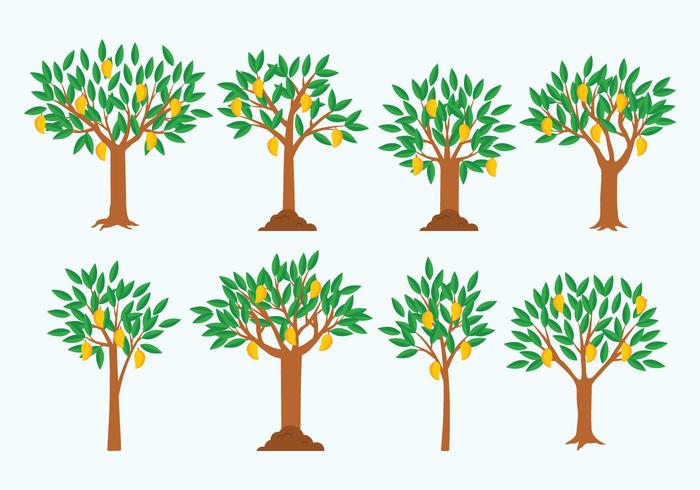 Mango Tree Vector