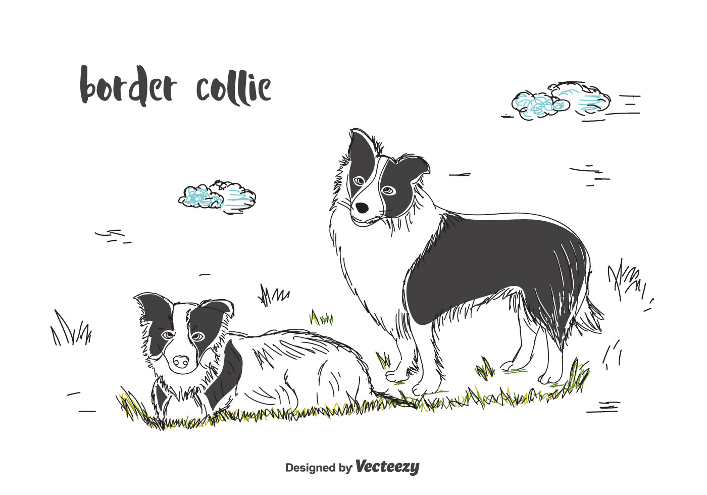 Download Border Collie Vector - Download Free Vectors, Clipart ...