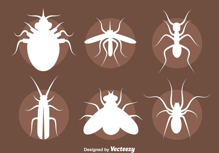 Conjunto de vectores de silueta de insectos