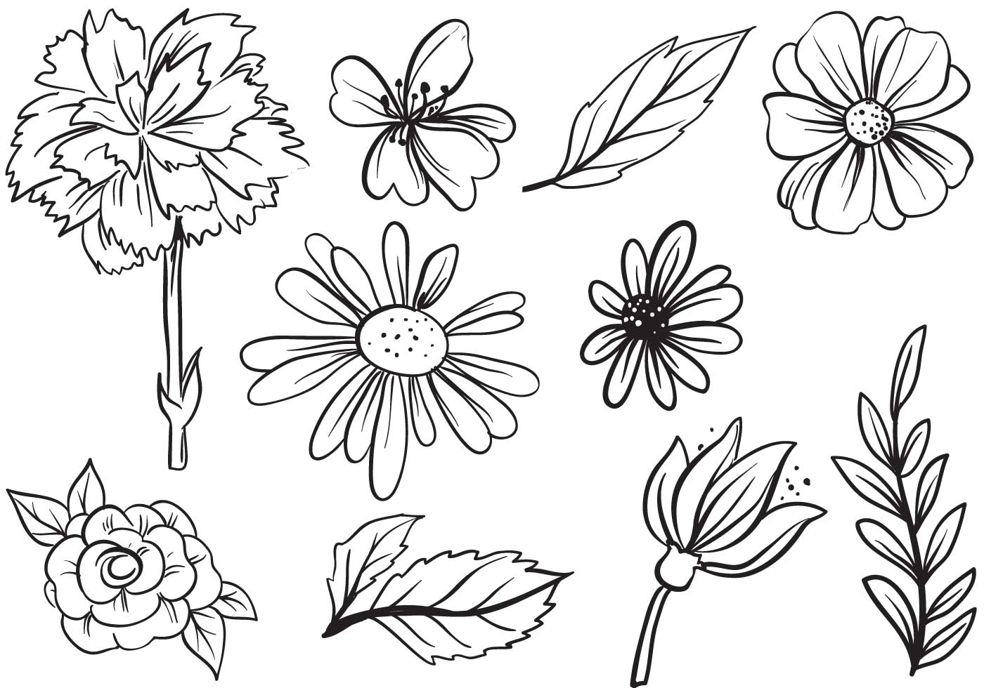 Download Free Flower Vectors 133659 Vector Art at Vecteezy