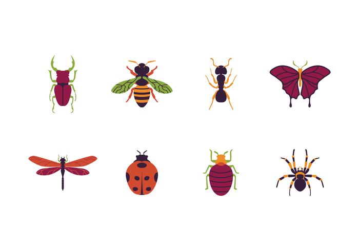 Insects Icon vector