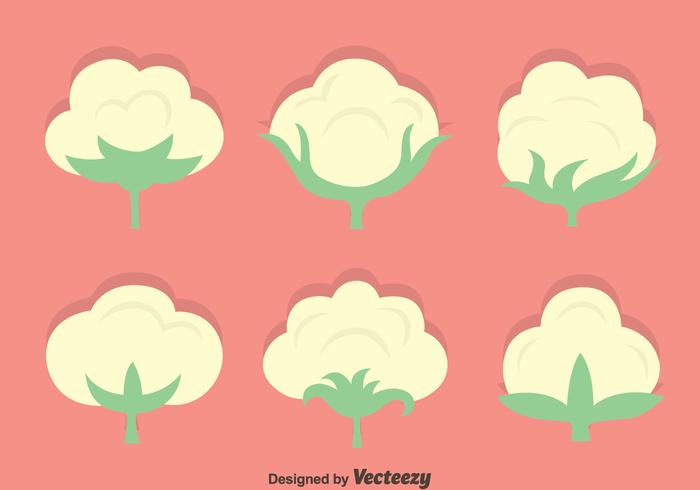 Cotton Flowers Vector Set Cotton Flowers Vector Set