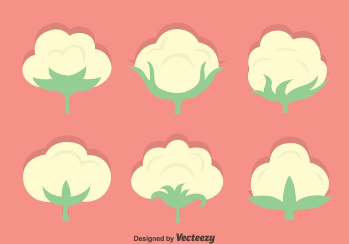 Cotton Flowers Vector Set