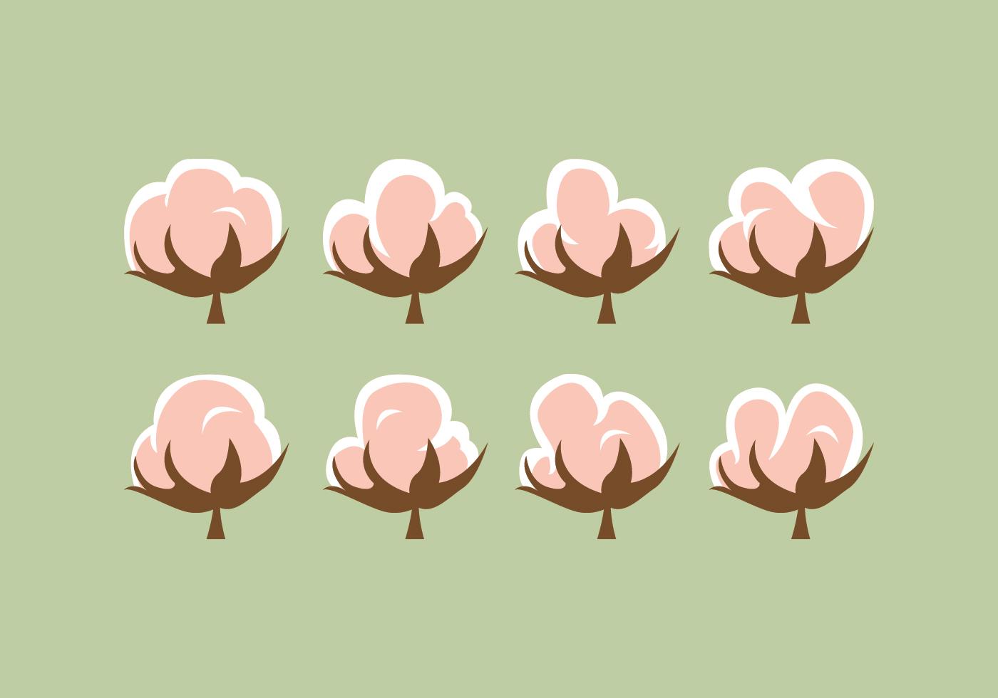 Free Cotton Flower Vector Pack 133742 Vector Art at Vecteezy