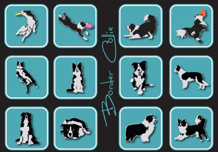 Icono del border collie vector