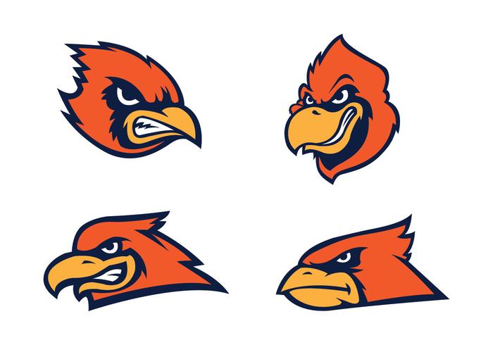 Free Cardinal Bird Vector Free Cardinal Bird Vector