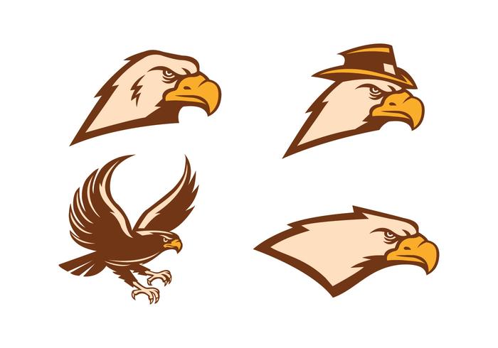 Free Hawk Vector