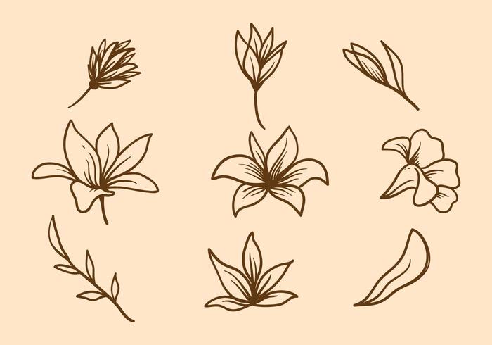 Easter Lily Vector